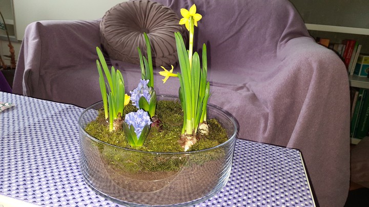 spring
