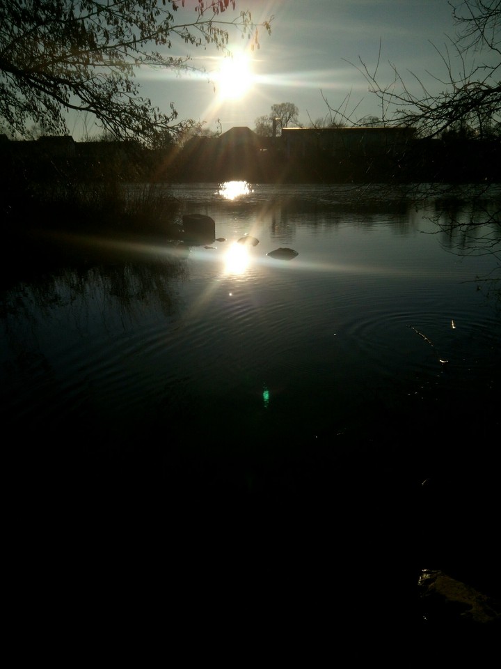Summer reflections