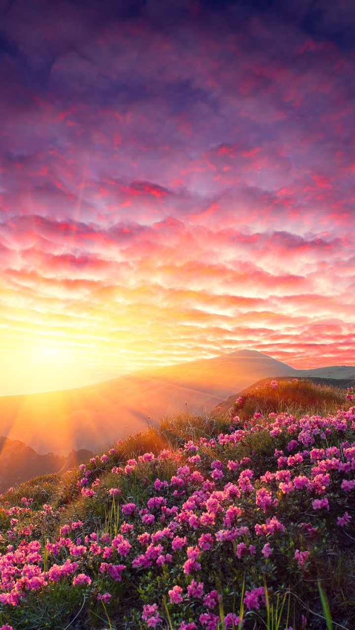 atardecer