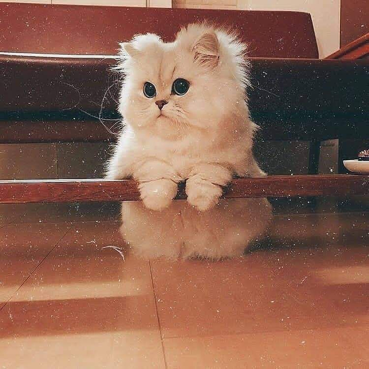 ❤❤❤