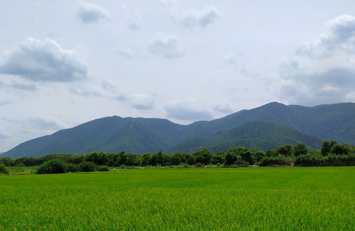 nature