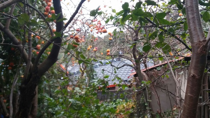 fall house