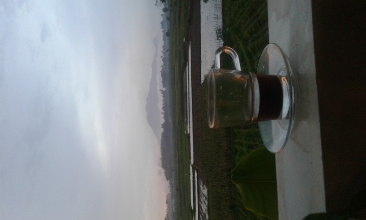 segelas kopi