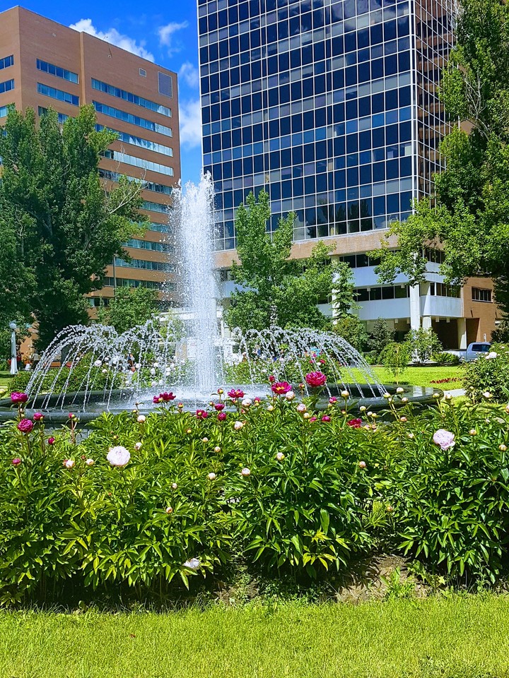 Calgary Memorial Park