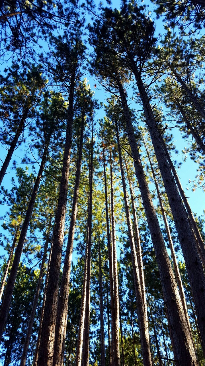 God's Country