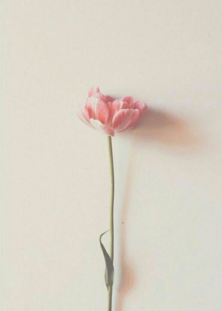 The flower