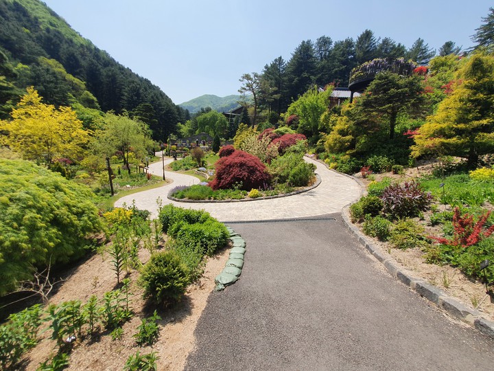 beautiful garden