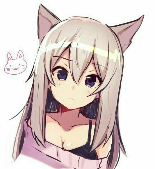 anime cat girl