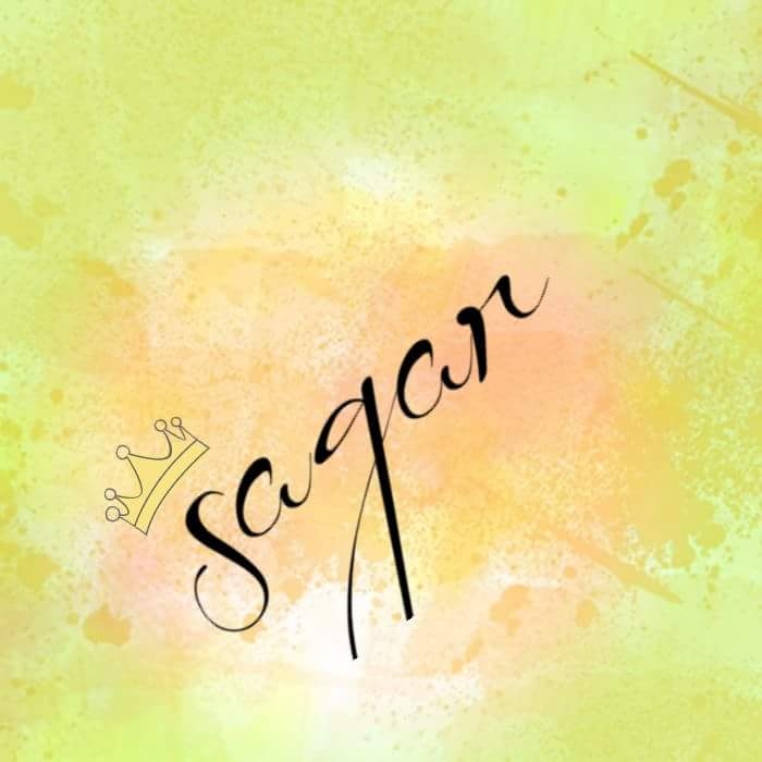 sagar