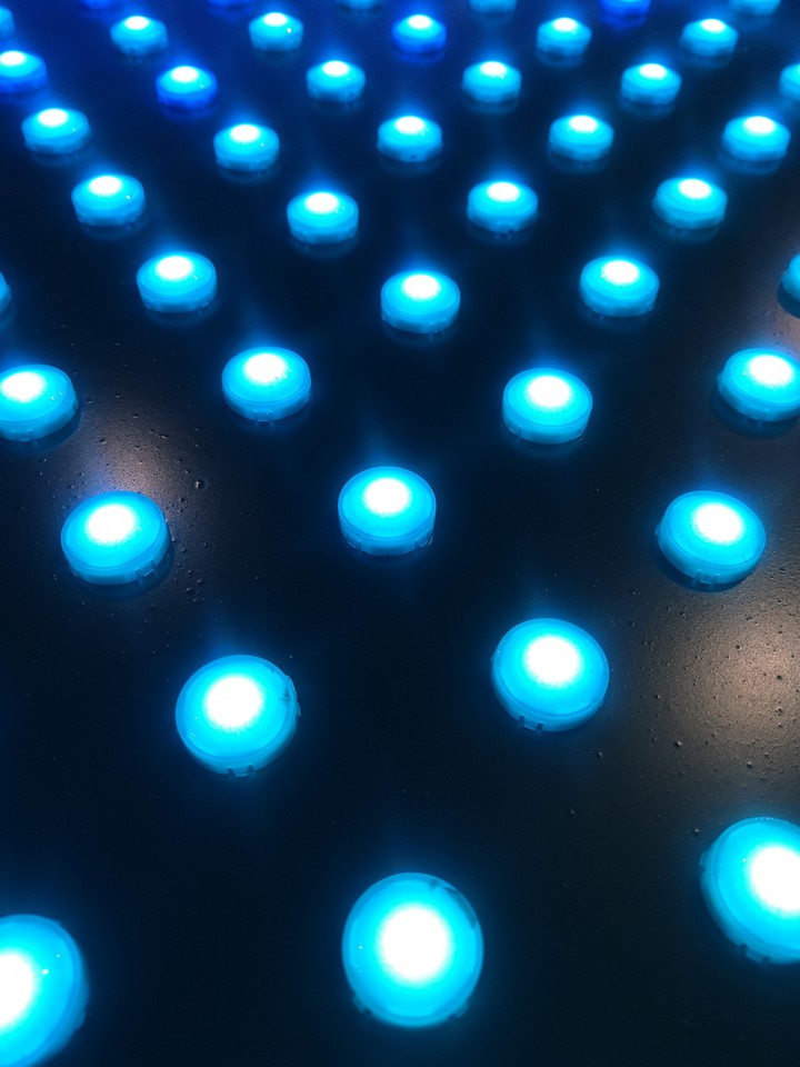 Blue lights