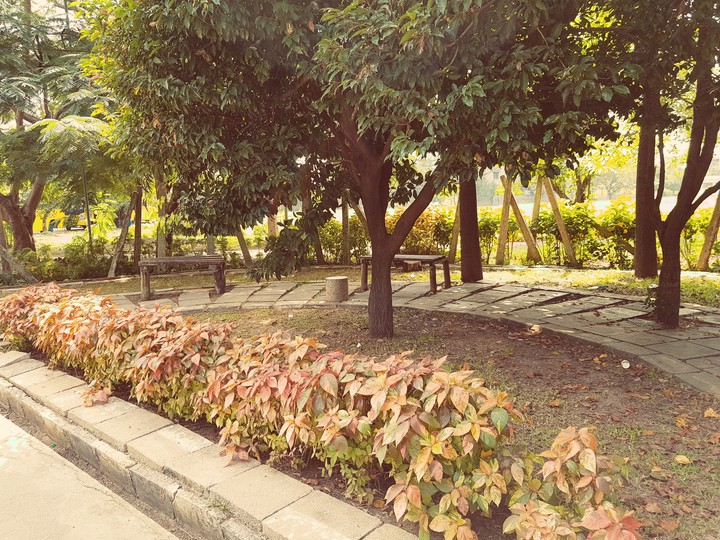park