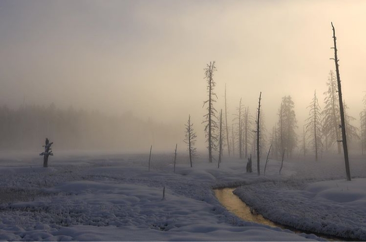 Winter