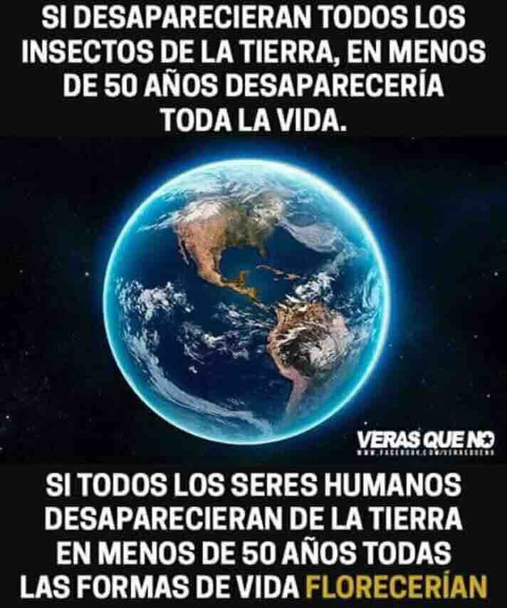 Agonía IX