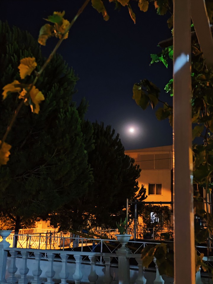 Moon