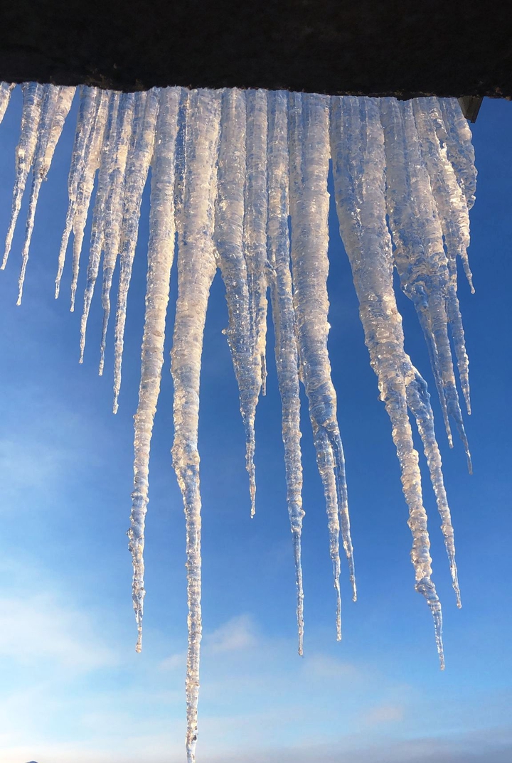 winter wonderland