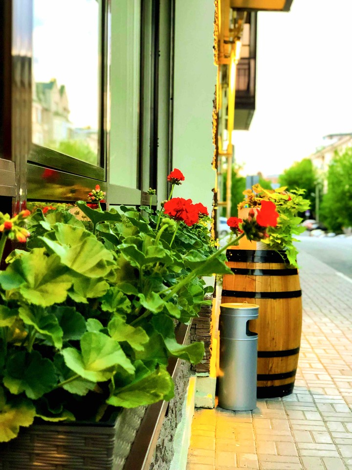 hours of flowers