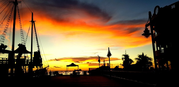 Blazing Yellow in Paradise