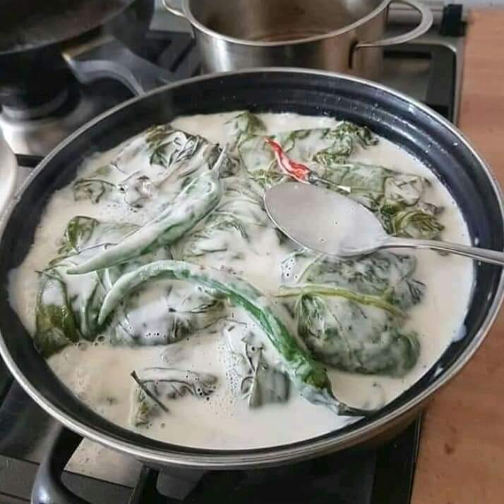 Taro Leaves with Coconut Milk