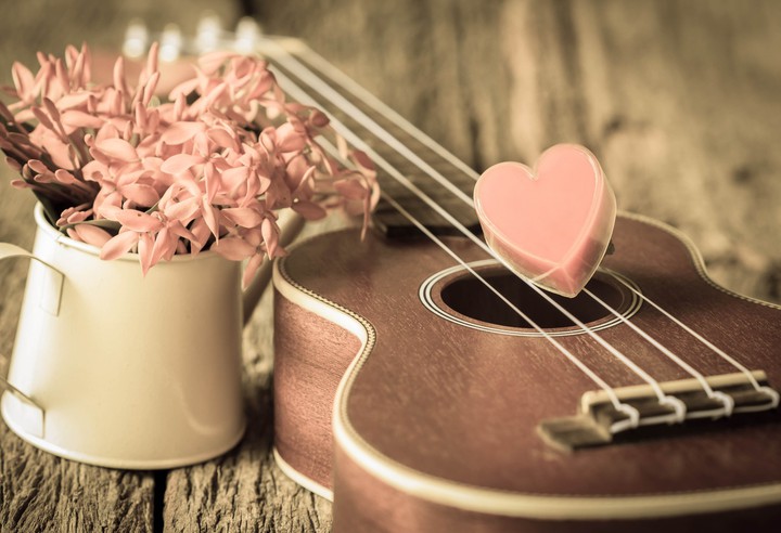 violin