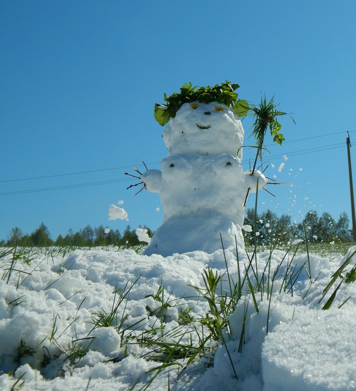 snowgirl