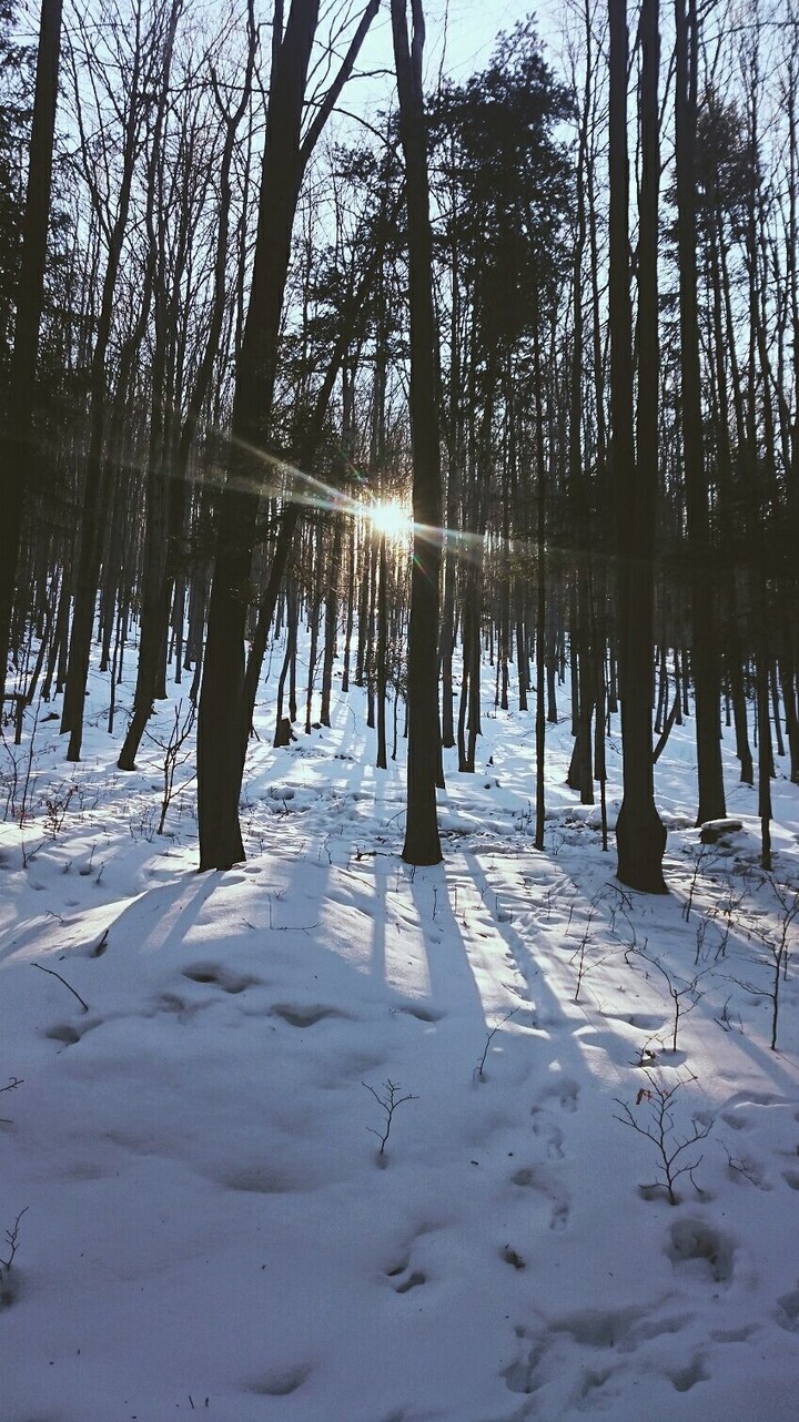 Winter in Poland