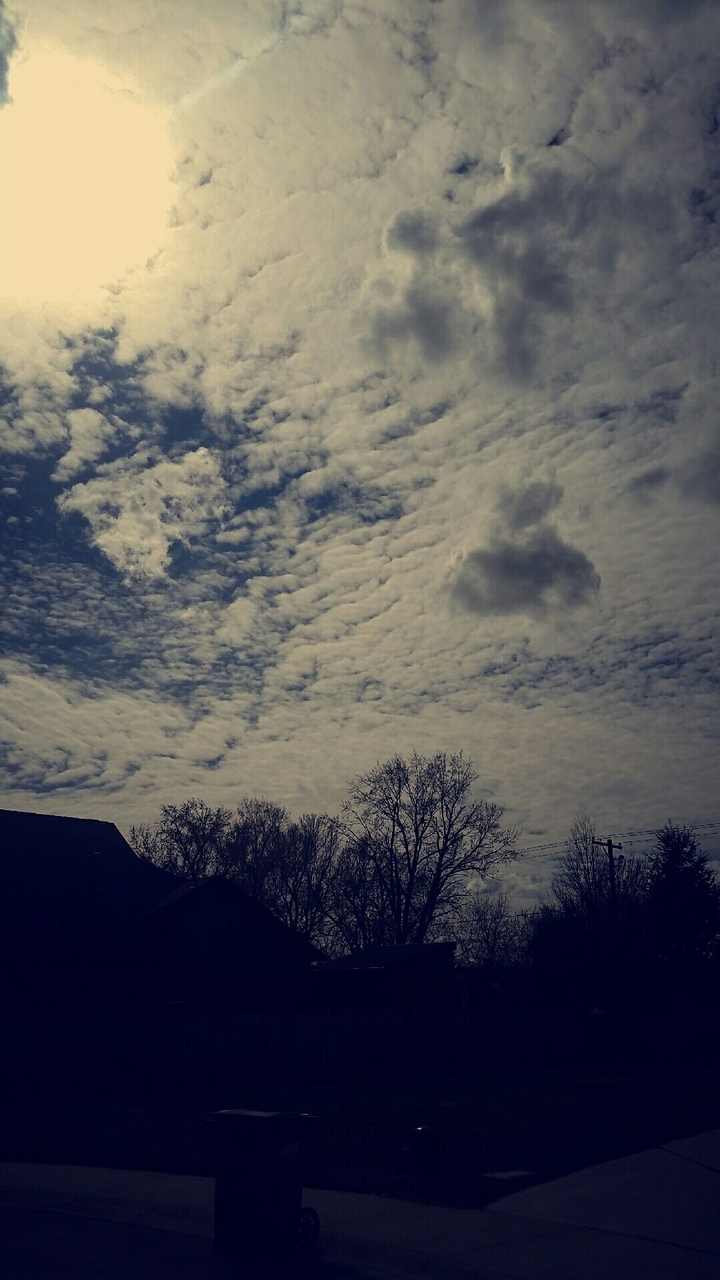 Sky
