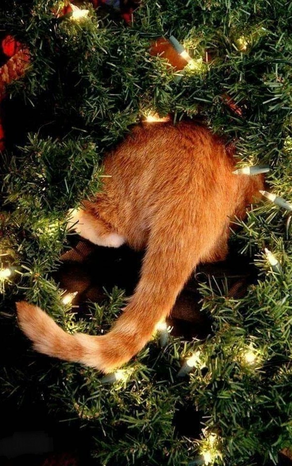 The holidays are over