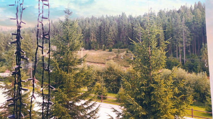 nature