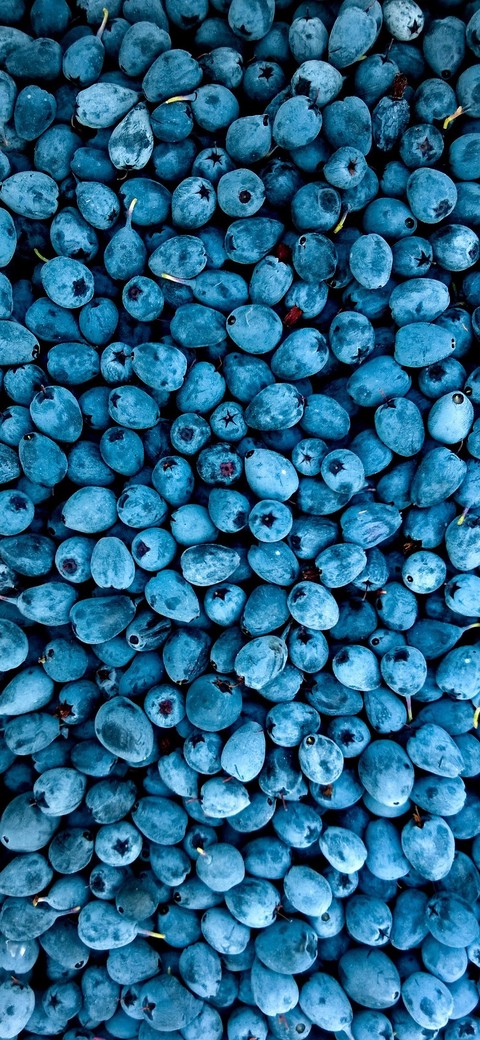 blue, aqua वॉलपेपर