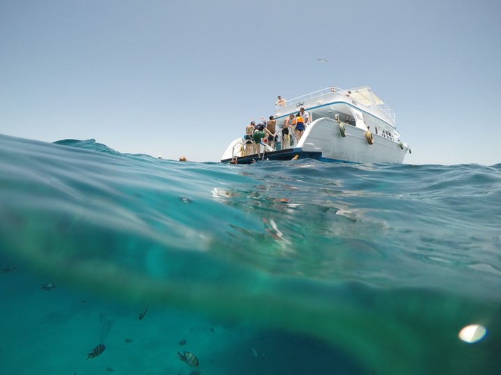 Half under and over water picture in the ocean