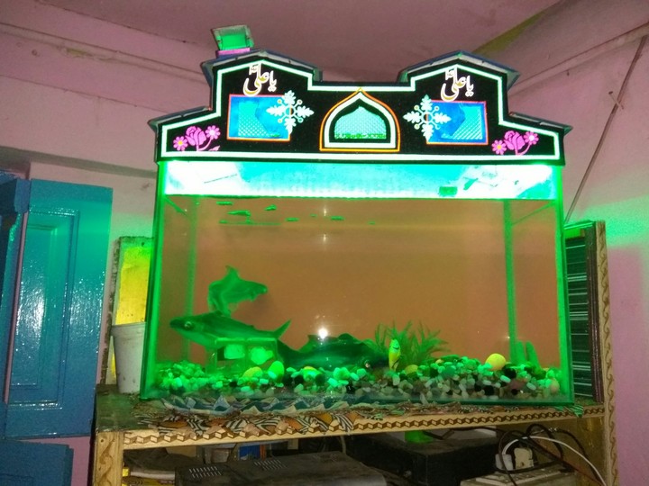 haseem fish tank kgf