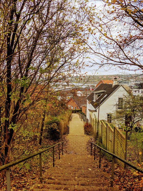 Beauty down the lane