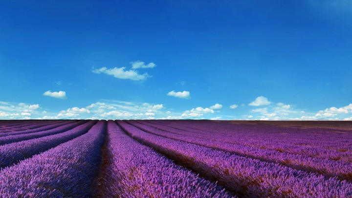 farm