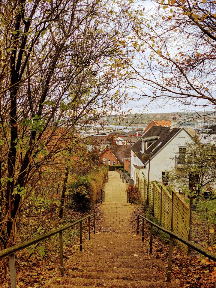 Beauty down the lane