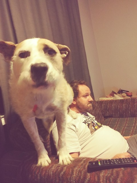 Wally thinks he's a small lap dog lol