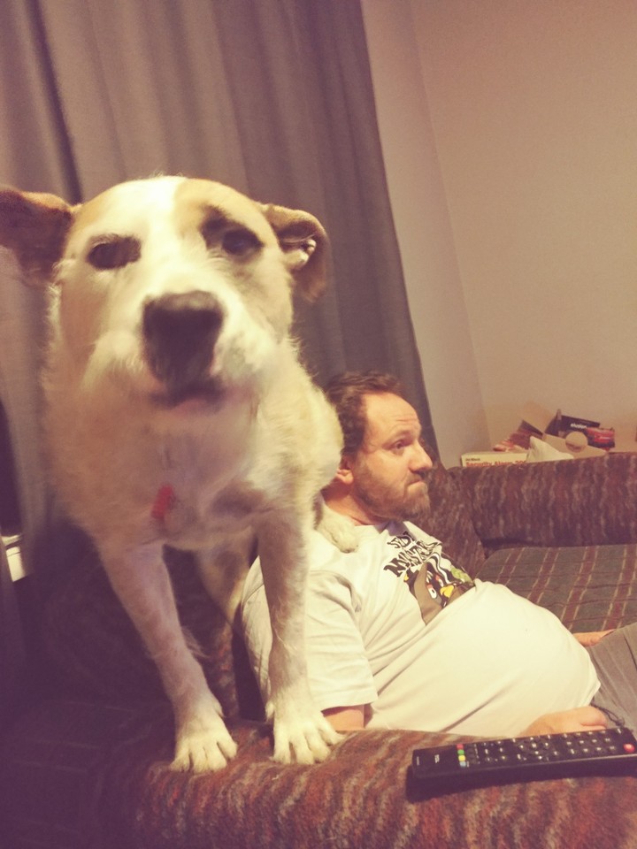 Wally thinks he's a small lap dog lol 