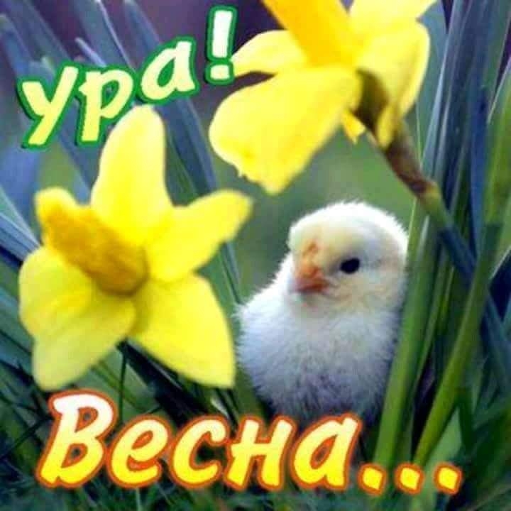 весна пришла