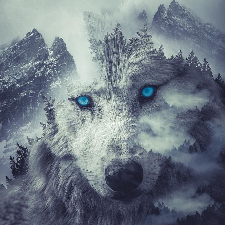 White Wolf