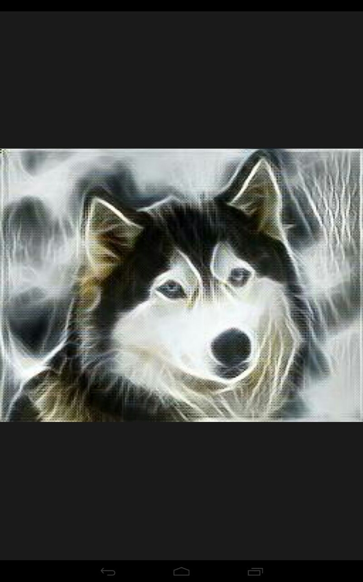 lobo