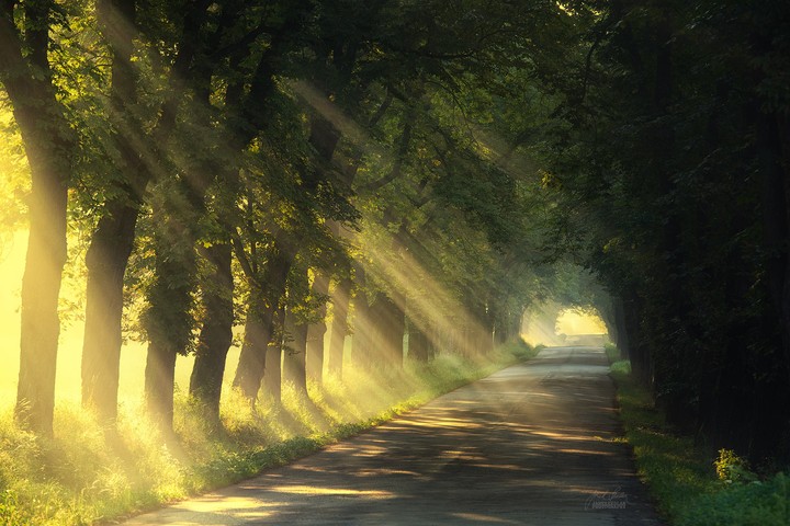 sunrise