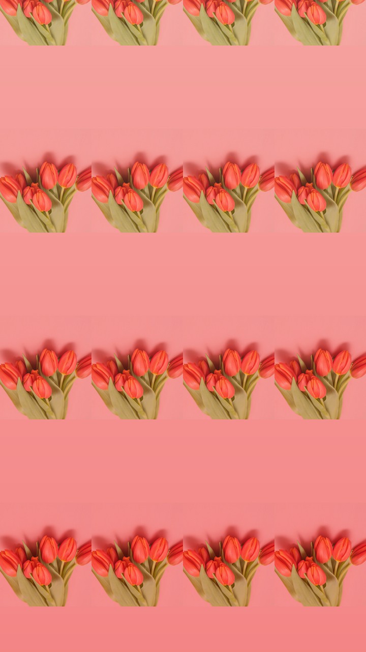 큘립배경화면