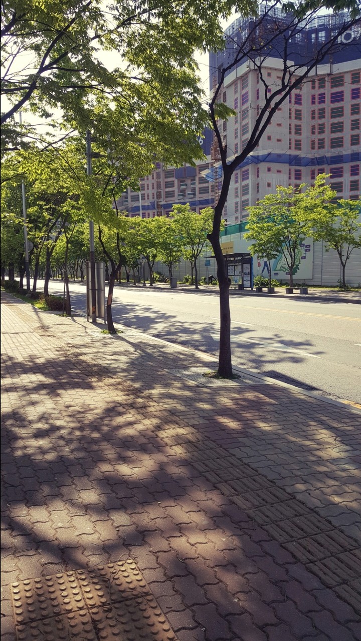 햇빛