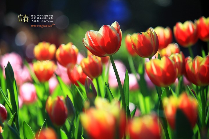 beginning of spring