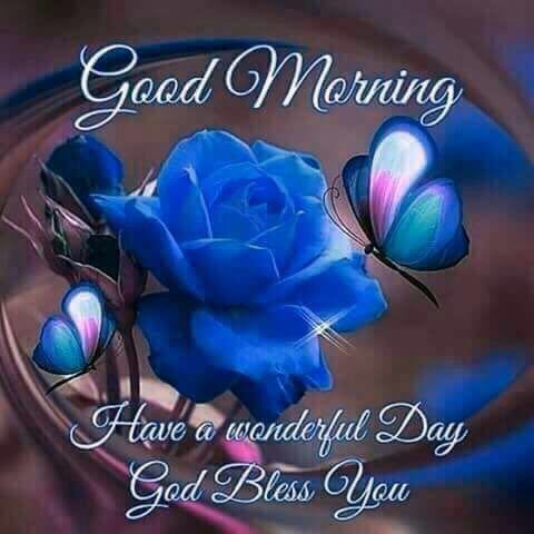 good morning everyone