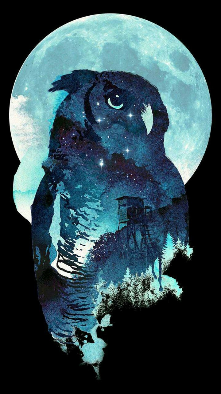 owl