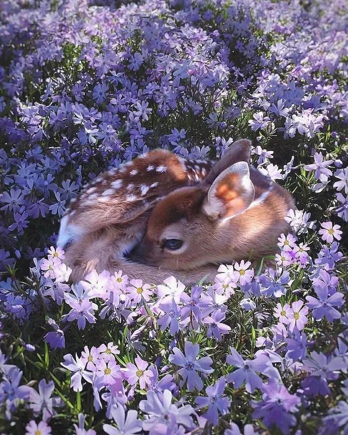 Beautiful wallpaper