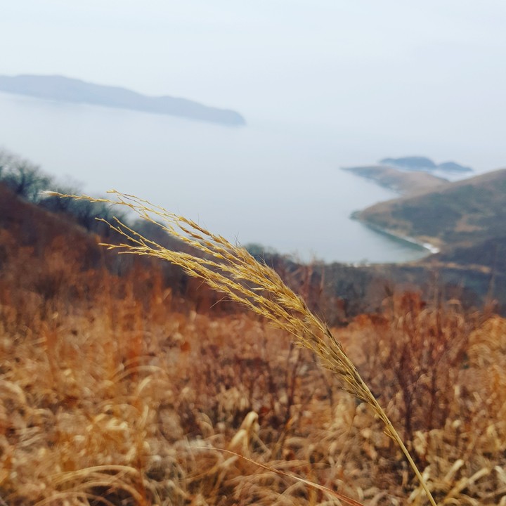 Одинокий