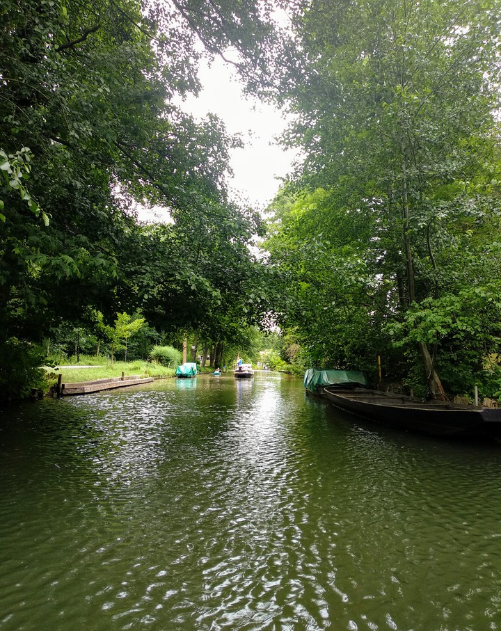 Spreewald
