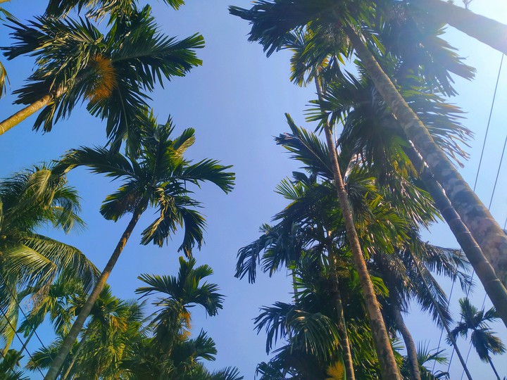 sky