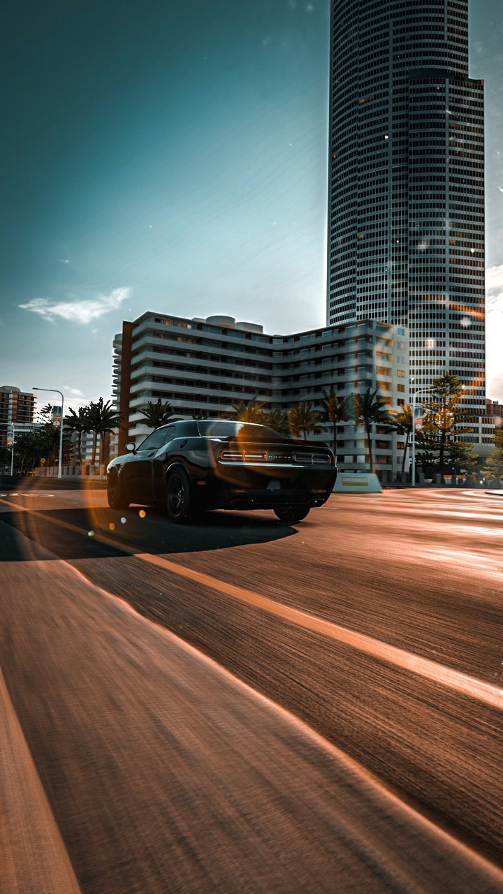 dodge